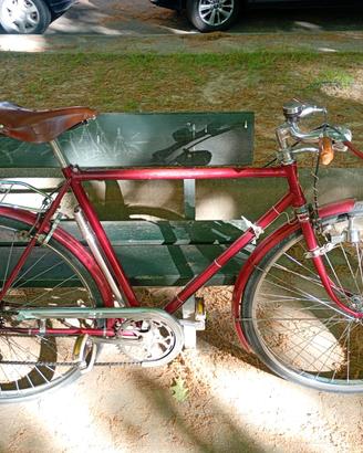 Bianchi Condorino uomo 28