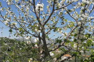 Visionare per attività