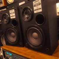 BOSE InterAudio 2000XL