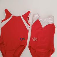 Body ginnastica artistica