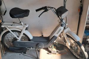 CIAO PX PIAGGIO