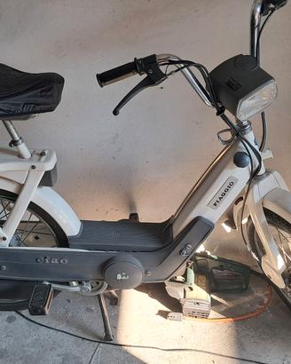 CIAO PX PIAGGIO