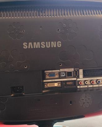 SAMSUNG 2033-HD , TELEVISORE MONITOR e Decoder