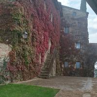 Custode manutenzione proprietà e giardini