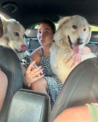 Due meravigliose anime prigioniere: Salviamole