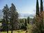 Immagine 11