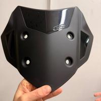 Cupolino/Parabrezza BMW GS 310