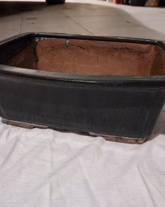 vaso per bonsai