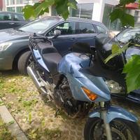 CBF 600 S