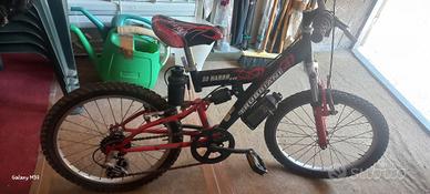 Bici bambino
