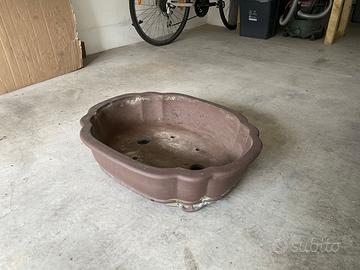 vaso per bonsai grande