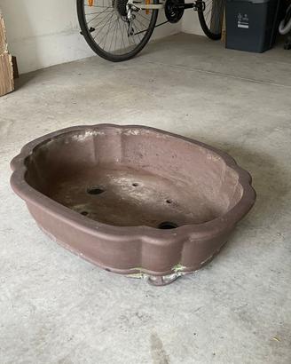 vaso per bonsai grande