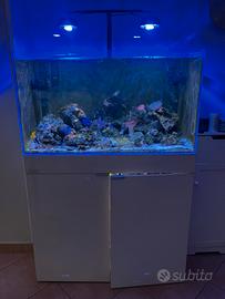 Acquario marino completo aqpet aqua 90 225 litri