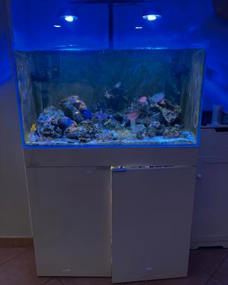Acquario marino completo aqpet aqua 90 225 litri