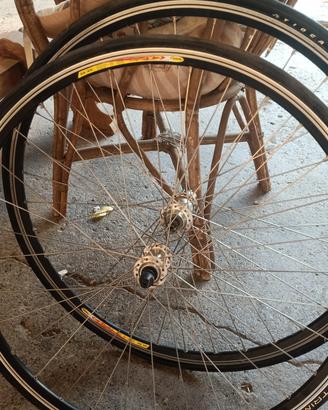 Campagnolo Mavic ruote corsa, corpetto 10v
