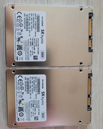 Coppia SK hynix dischi sata SC401 256gb usati