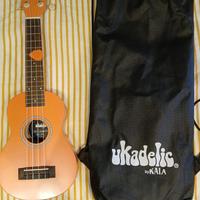 Ukulele soprano della Kala,
con custodia e pletro