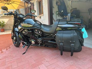 Harley Davidson v-rod vrscdx