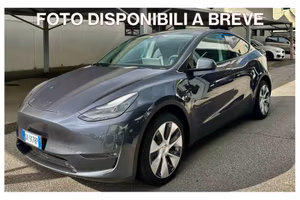 TESLA Model Y AWD Long Range