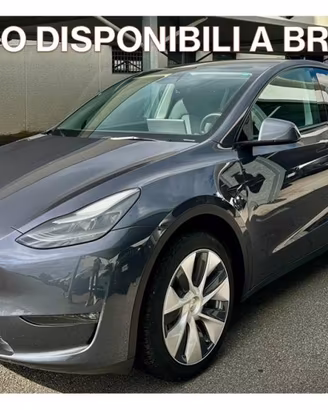 TESLA Model Y AWD Long Range