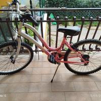 Bicicletta