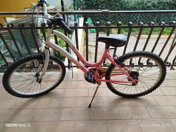Bicicletta