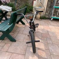 Bmx professionale originale Eastern