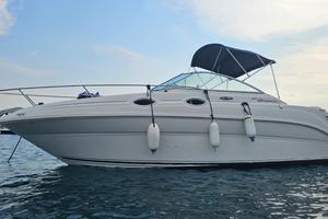 Sea Ray 240 Sundancer