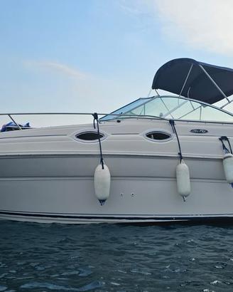 Sea Ray 240 Sundancer