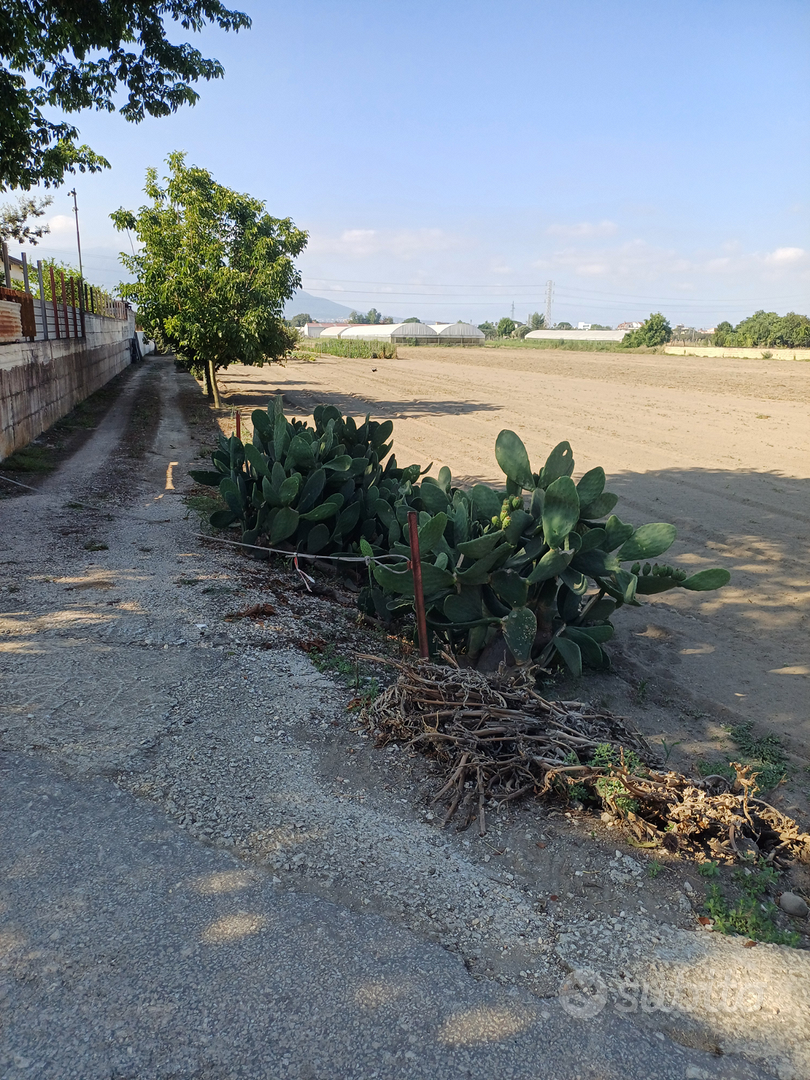 Terreno agricolo - Vista 4