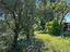 Immagine 18