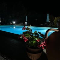 Splendido appartamento con piscina