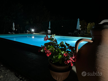 Splendido appartamento con piscina