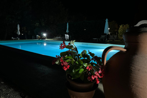 Splendido appartamento con piscina