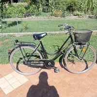 Bucicletta zecchino donna