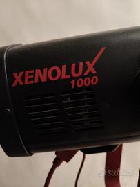 flasch studio xenolux 1000