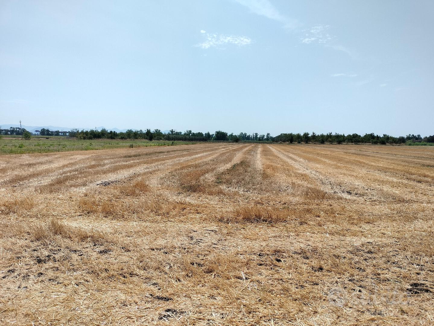 Terreno ha 1,5 - Vista 2