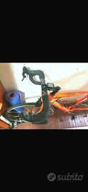 Bici professionale