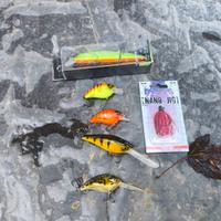 lotto esche bass fishing 