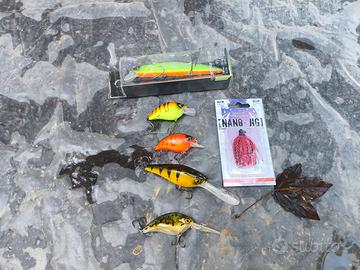 lotto esche bass fishing 