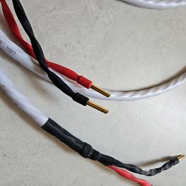 Wireworld Solstice 8 diffusori