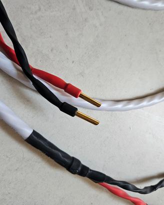 Wireworld Solstice 8 diffusori