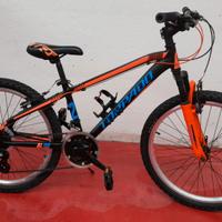 Mtb Torpado 24