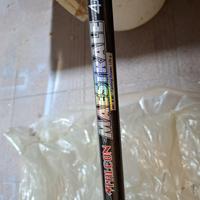 Canne surf casting