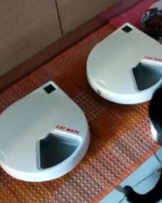 Dispenser cibo/Mangiatoia con Timer x cani gatti