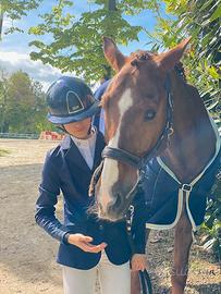 Cavallo sportivo tedesco per salto e dressage