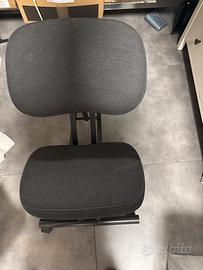 Sedia ergonomica per la schiela