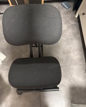 Sedia ergonomica per la schiela