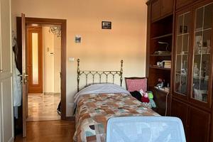 Libera ampia camera singola per studentessa