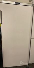 Congelatore verticale Bauknecht